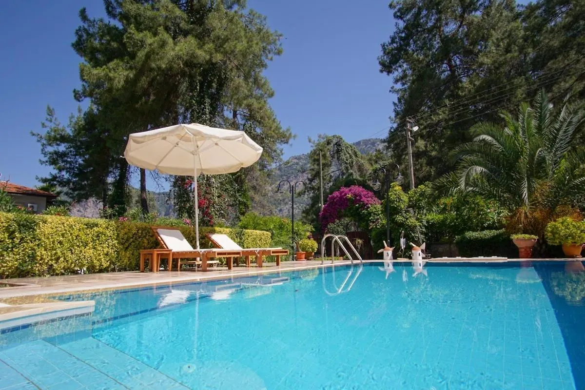 Dolphin Villa Fethiye