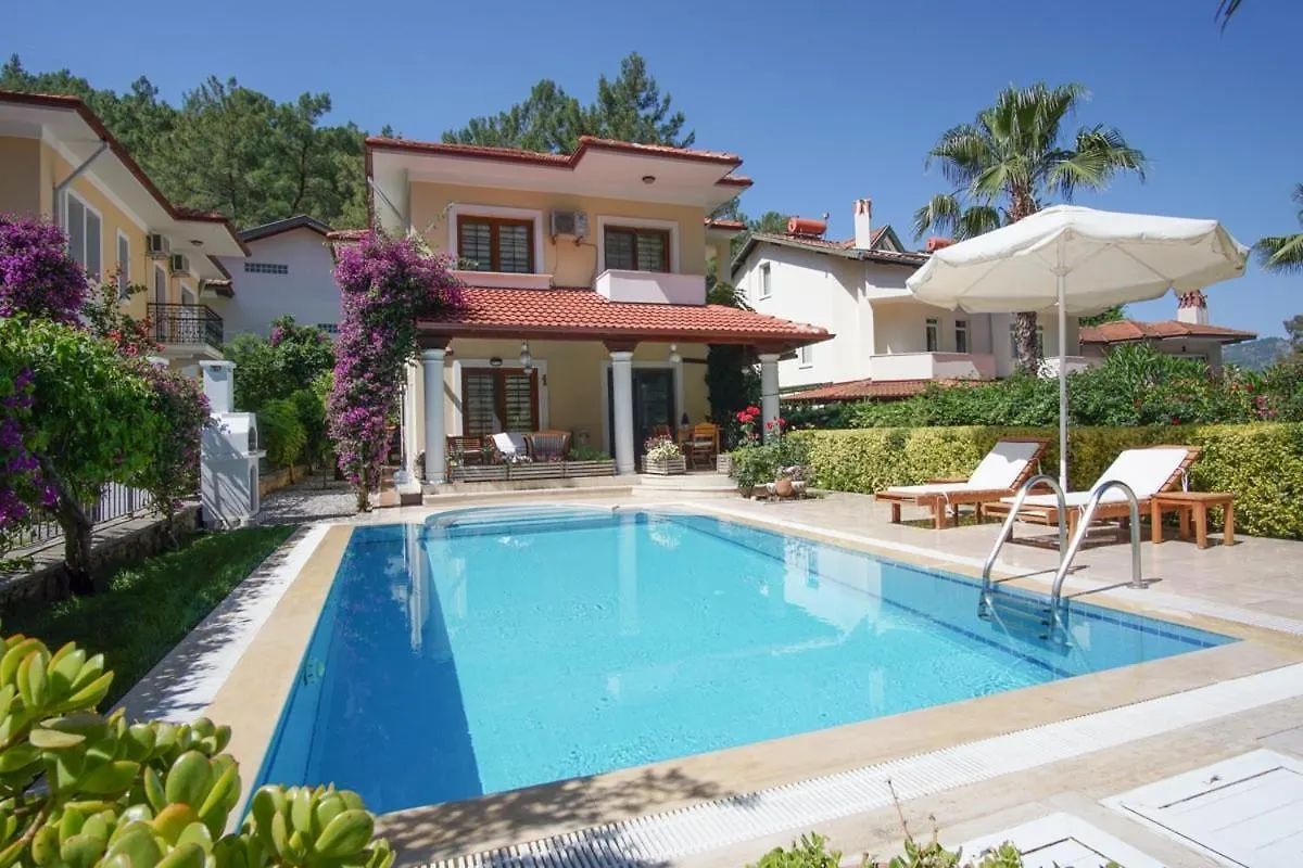 Dolphin Villa Fethiye